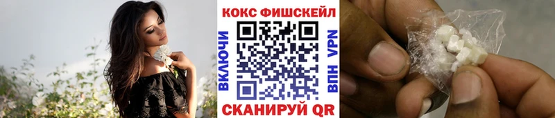 Cocaine Fish Scale  Купить  Константиновск 