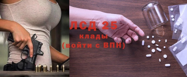 прущие грибы Лихославль