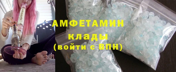 прущие грибы Лихославль