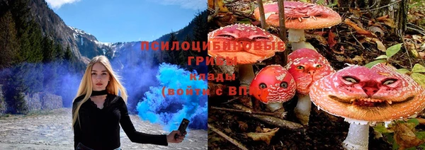 прущие грибы Лихославль