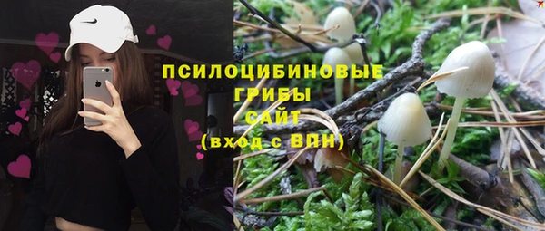 прущие грибы Лихославль