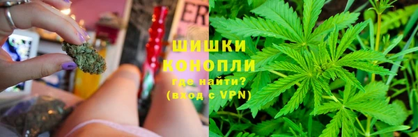прущие грибы Лихославль