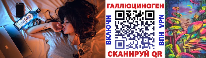 Галлюциногенные грибы Psilocybe  Купить  Константиновск 